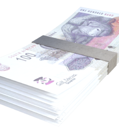 Ngula Finance Solutions